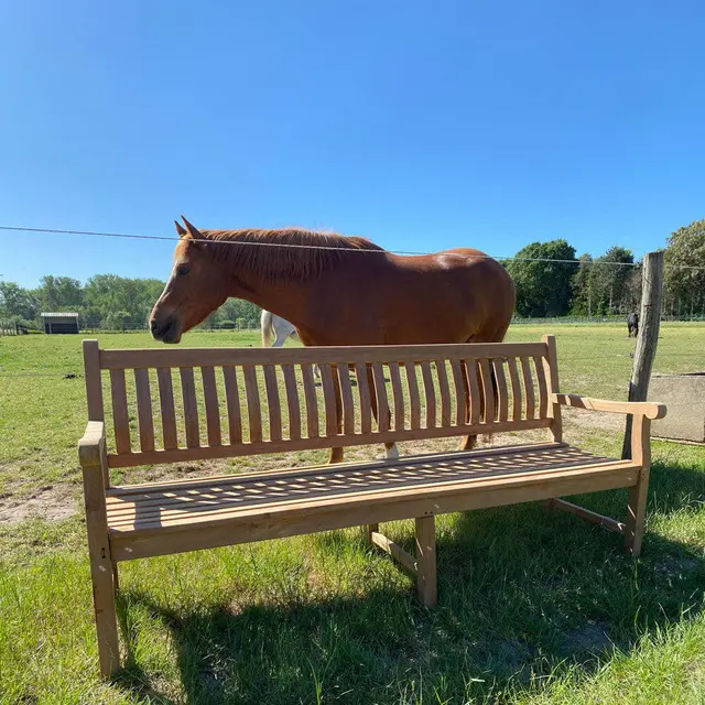 Banc de jardin en teck Dordogne 210 cm – photo 3